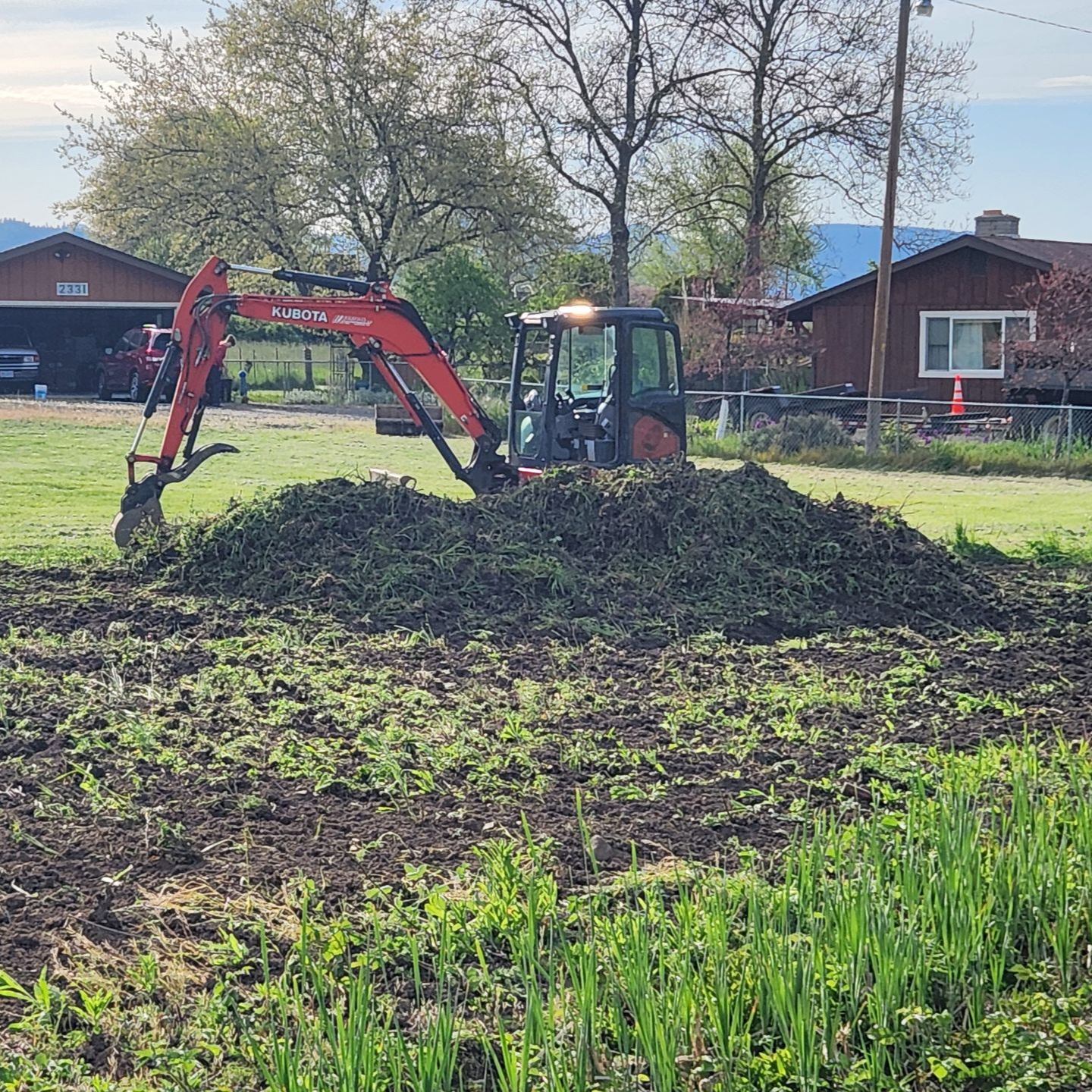 Excavator clearing brush and trees on residential land in Southern Oregon