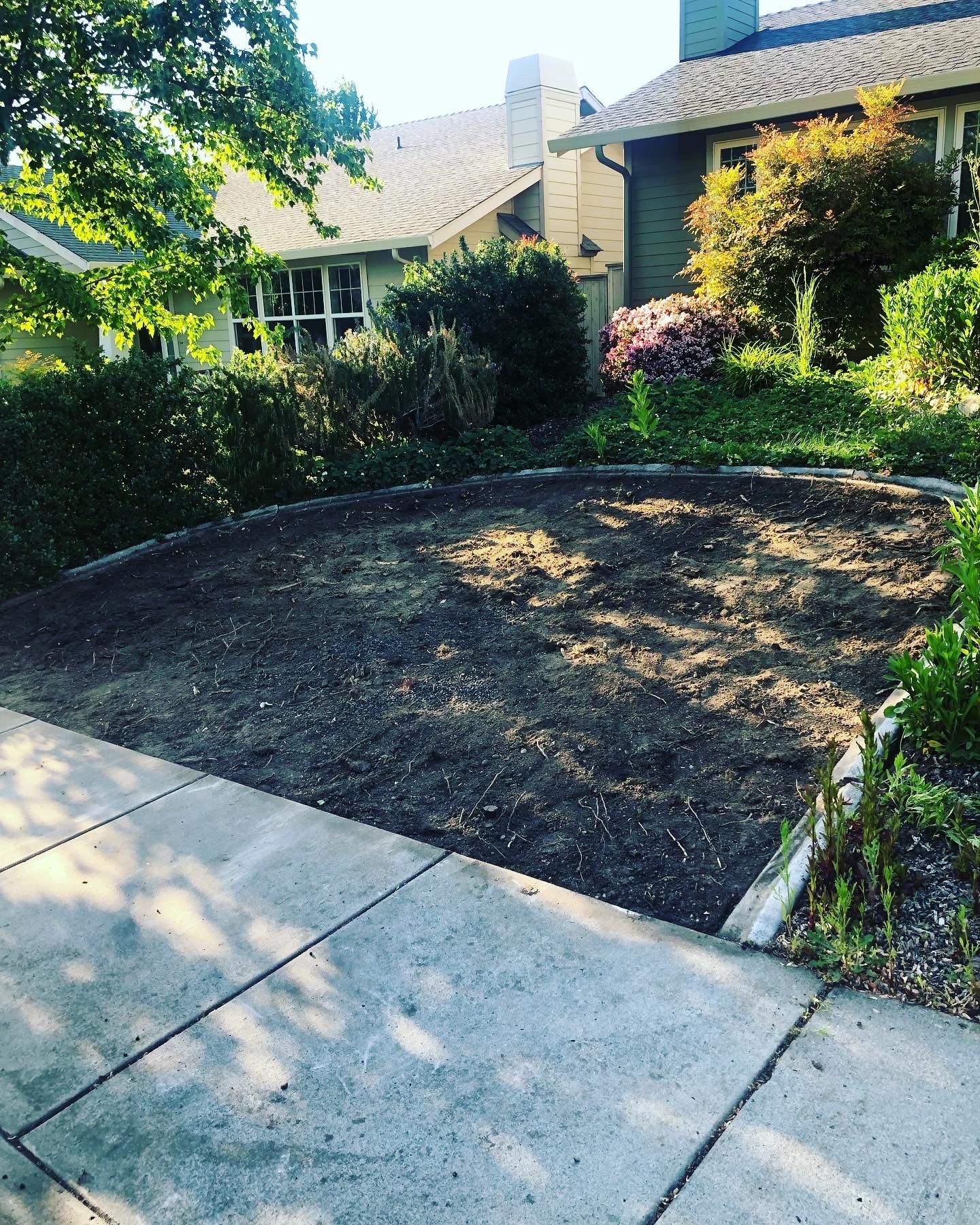 A yard freshly excavated for landscaping.
