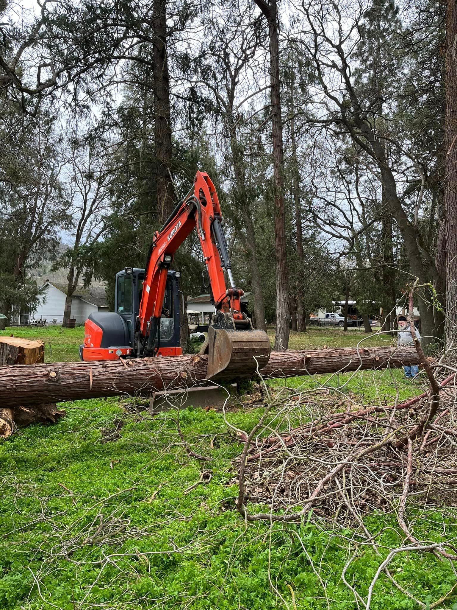 An excavator clearing trees in Medford, Oregon.