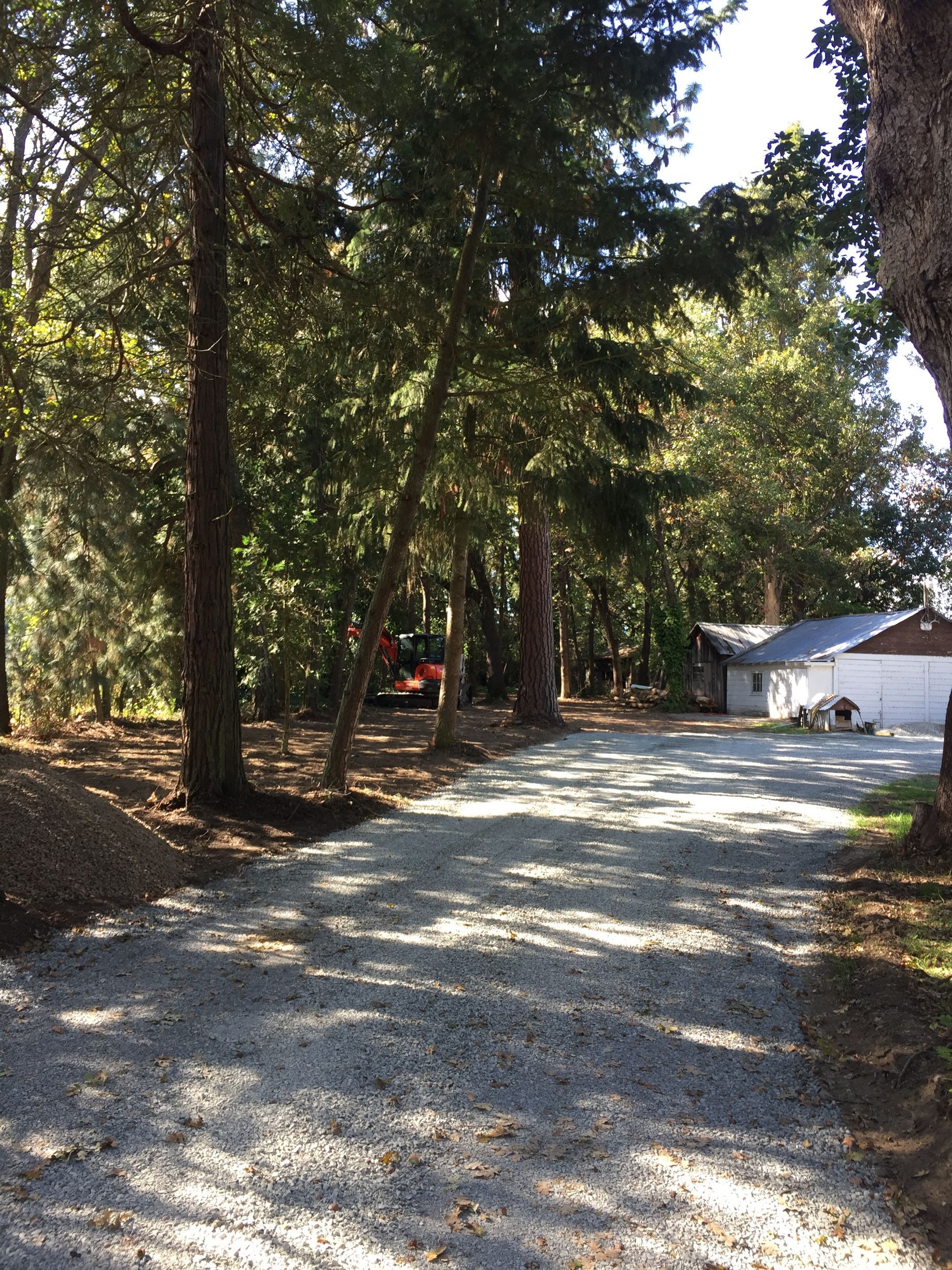 A gravel driveway leading to a house surrounded by trees