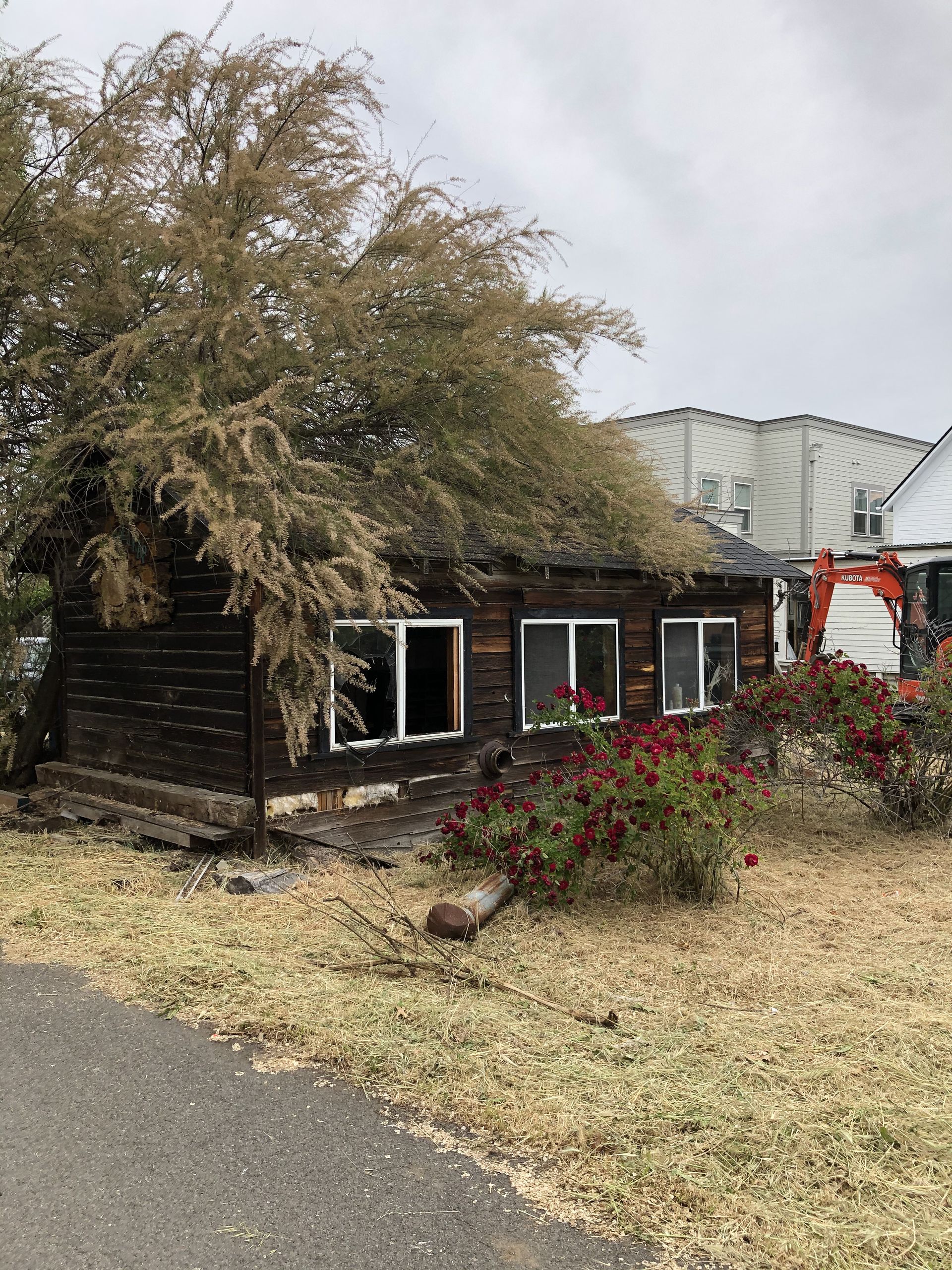A wooden house with a tree in front of it is being demolished.