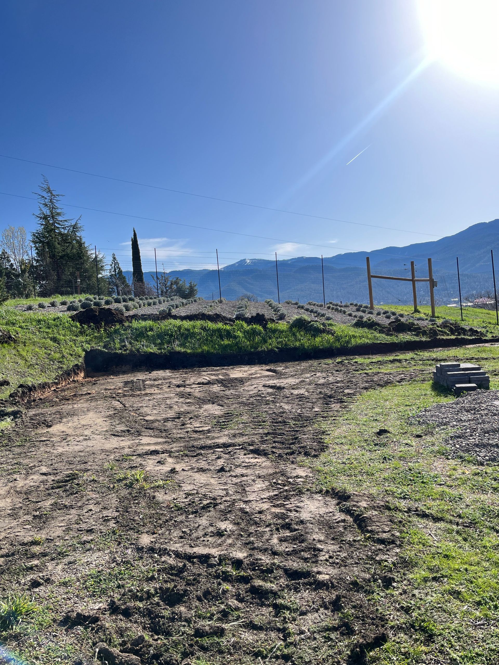 A dirt road going through a grassy field with mountains in the background.