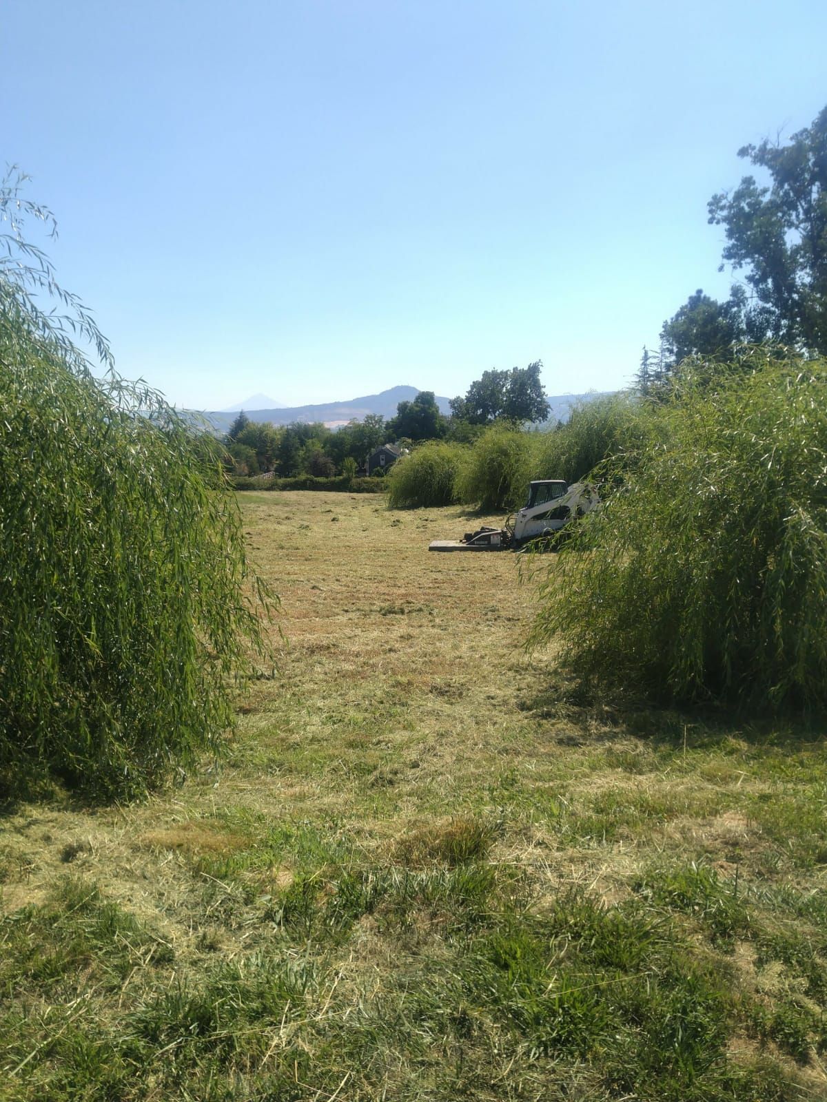 A Skid Steer is parked in the middle of a grassy field that was just mowed.