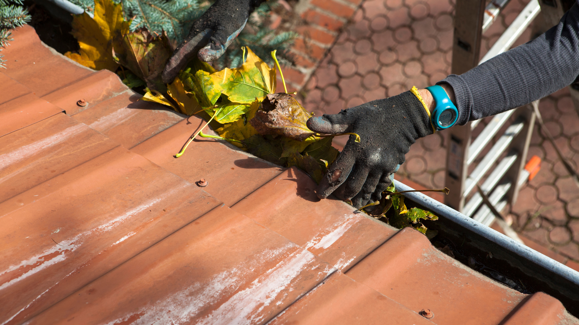 A person is cleaning a gutter on a tiled roof.