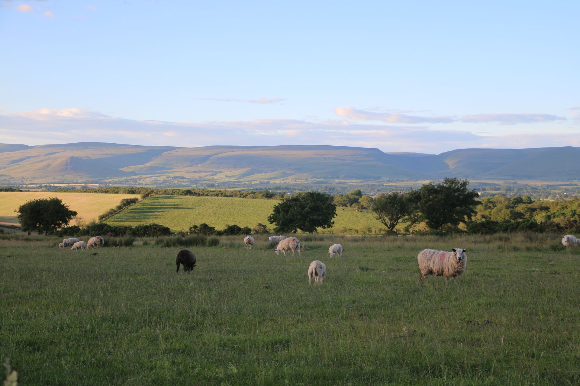 Towards the Eden Valley