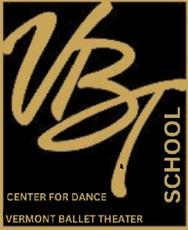 vbts logo