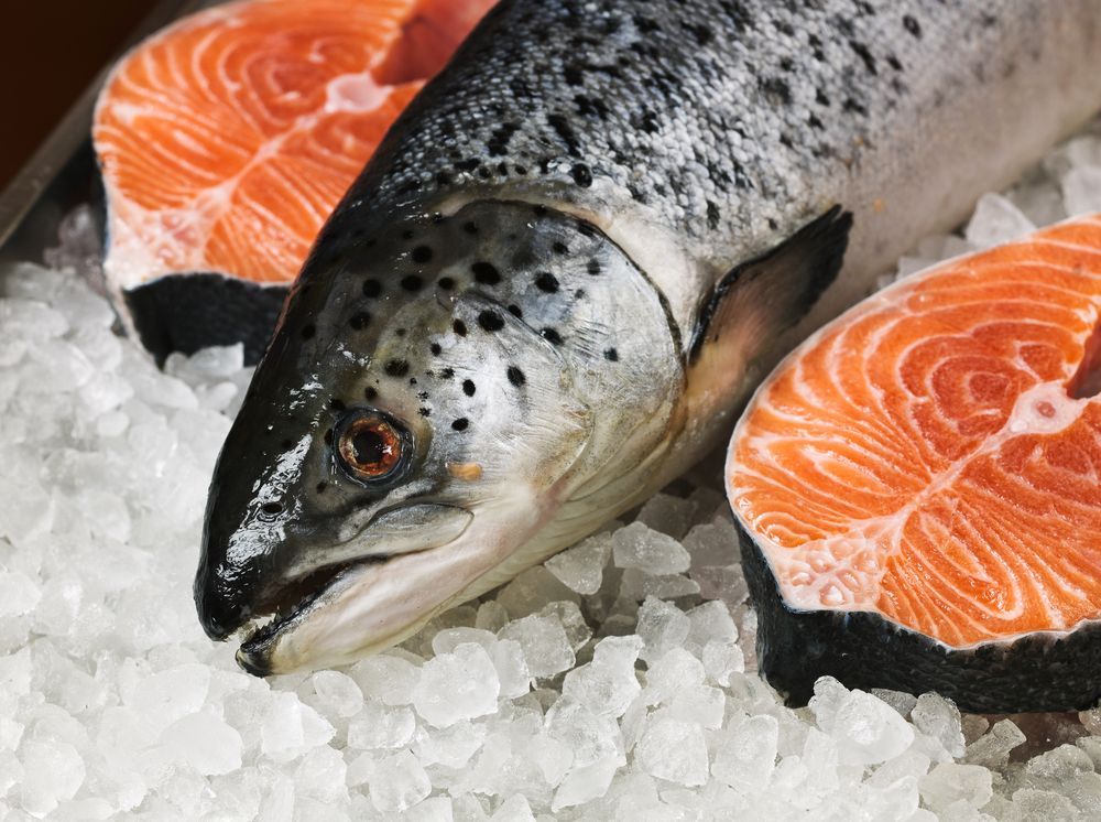 A Salmon is Laying on Ice Next to Slices of Salmon — Scotto's Food Logistics in Mitchell, ACT