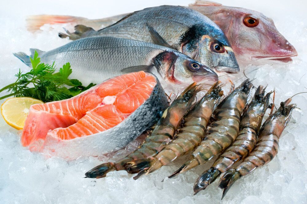 A Variety of Fish and Shrimp Are Sitting on Ice — Scotto's Food Logistics in Mitchell, ACT