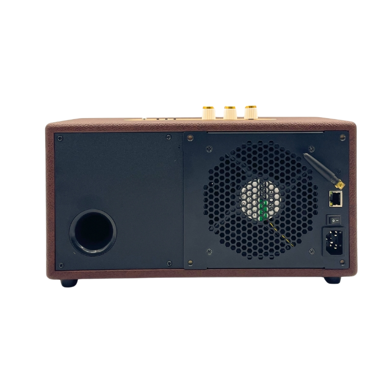 Brown speaker with a black back panel featuring a fan, power port, and other inputs.