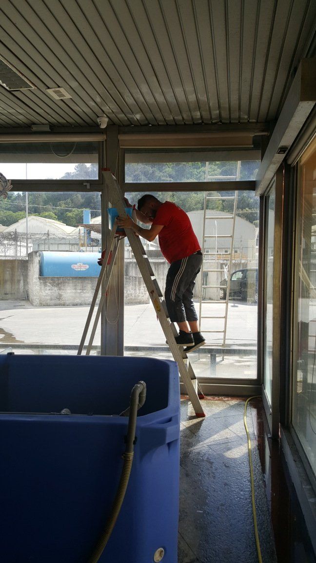 uomo intento a pulire vetri su una scala