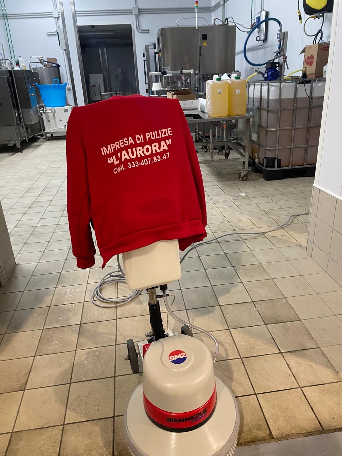 professionisti delle pulizie