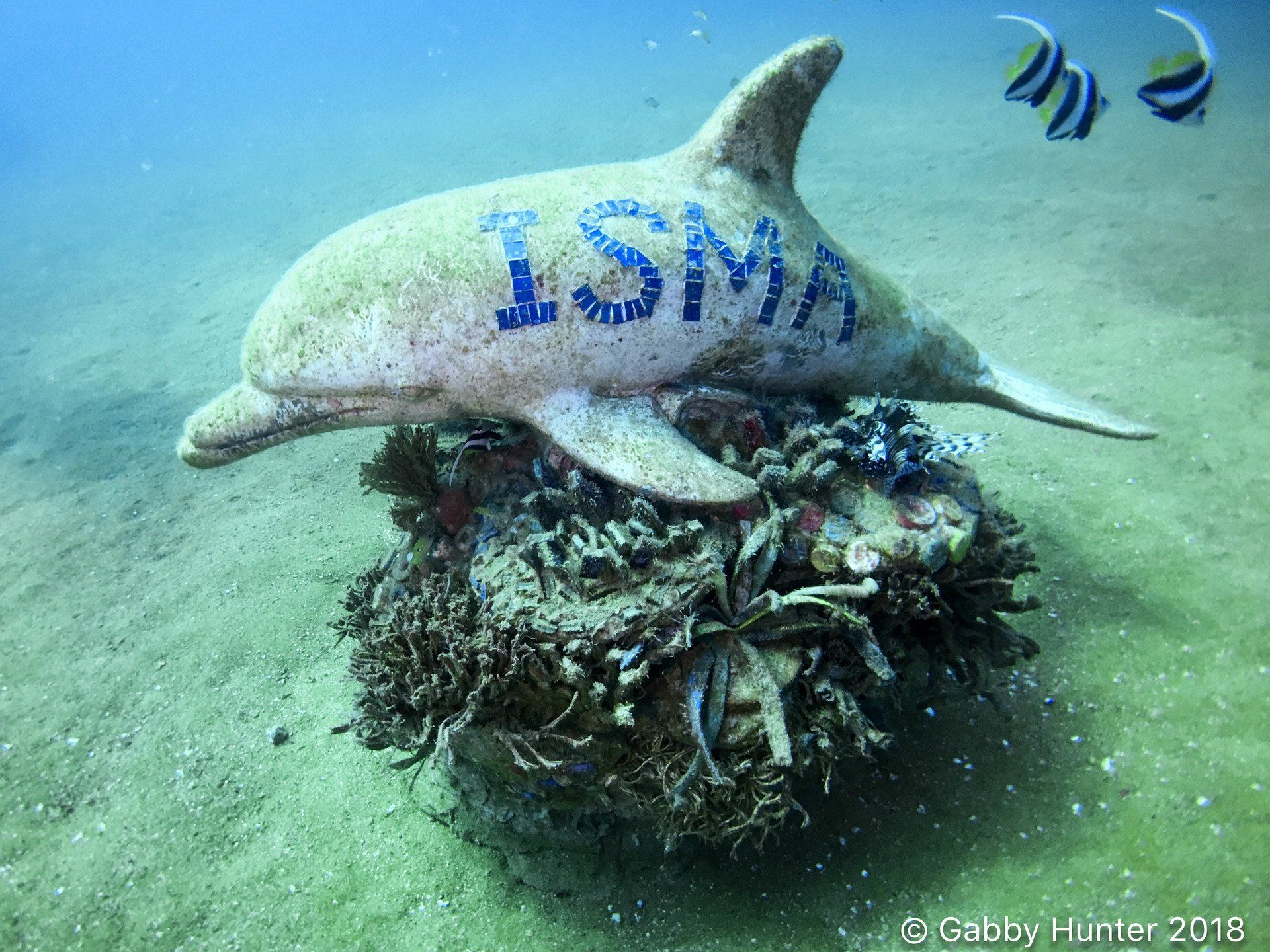 Dolphin Sculpture underwater