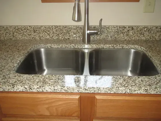 Stainless steel double sink set into granite countertop with faucet; below are wood cabinets.
