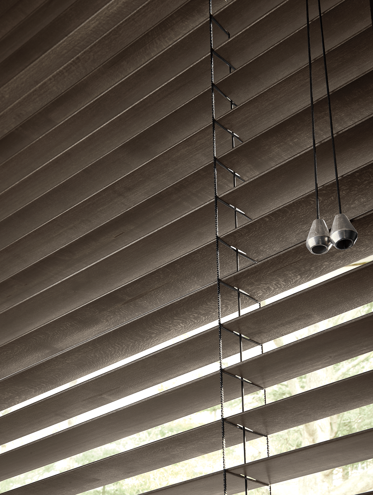 douglas window blinds