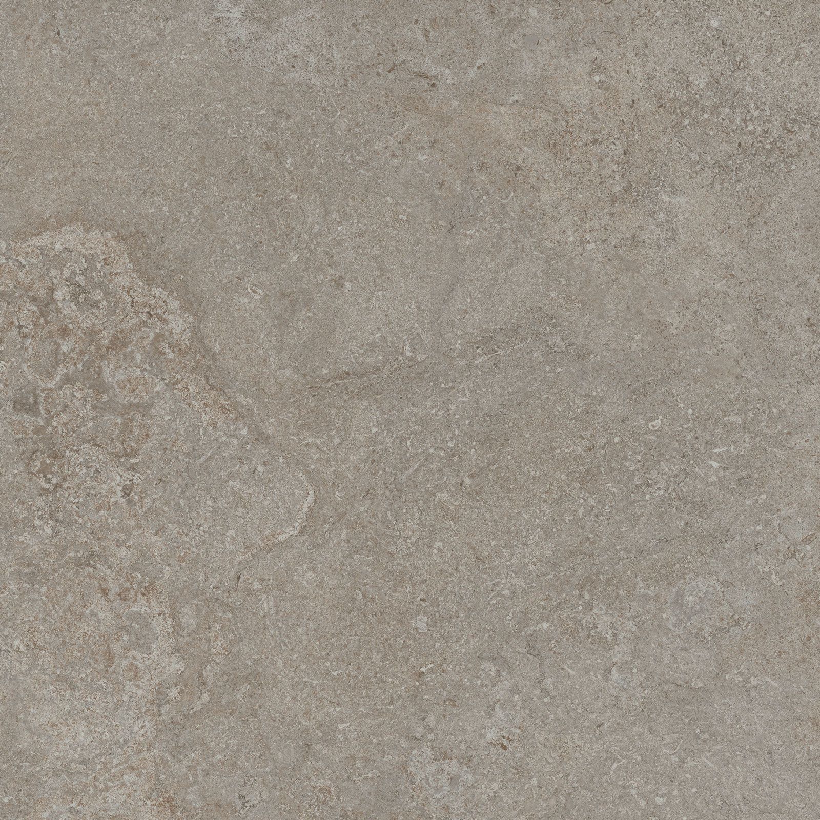 PRO PORTLAND DARK GREY