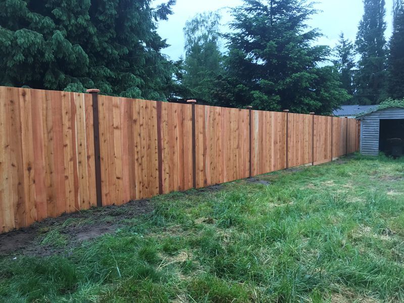 Wooden privacy fence in a grassy yard, with trees in the background.