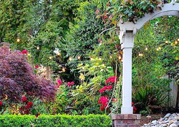 A white archway in a garden surrounded by trees and flowers.