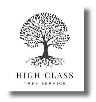 A black and white logo for high class tree service