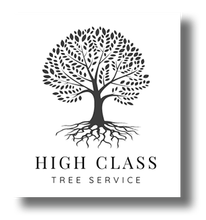 A black and white logo for high class tree service