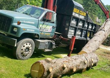 A dump truck with a crane attached to it is carrying a large log.