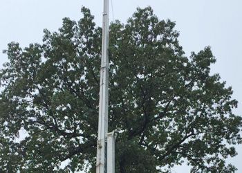 A flag pole with a tree in the background.