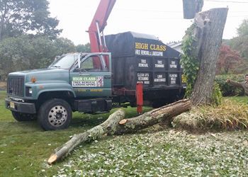 A truck with a crane attached to it is parked next to a tree.