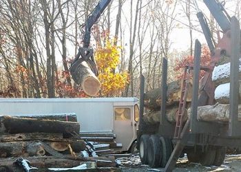 A crane is lifting a log into a truck