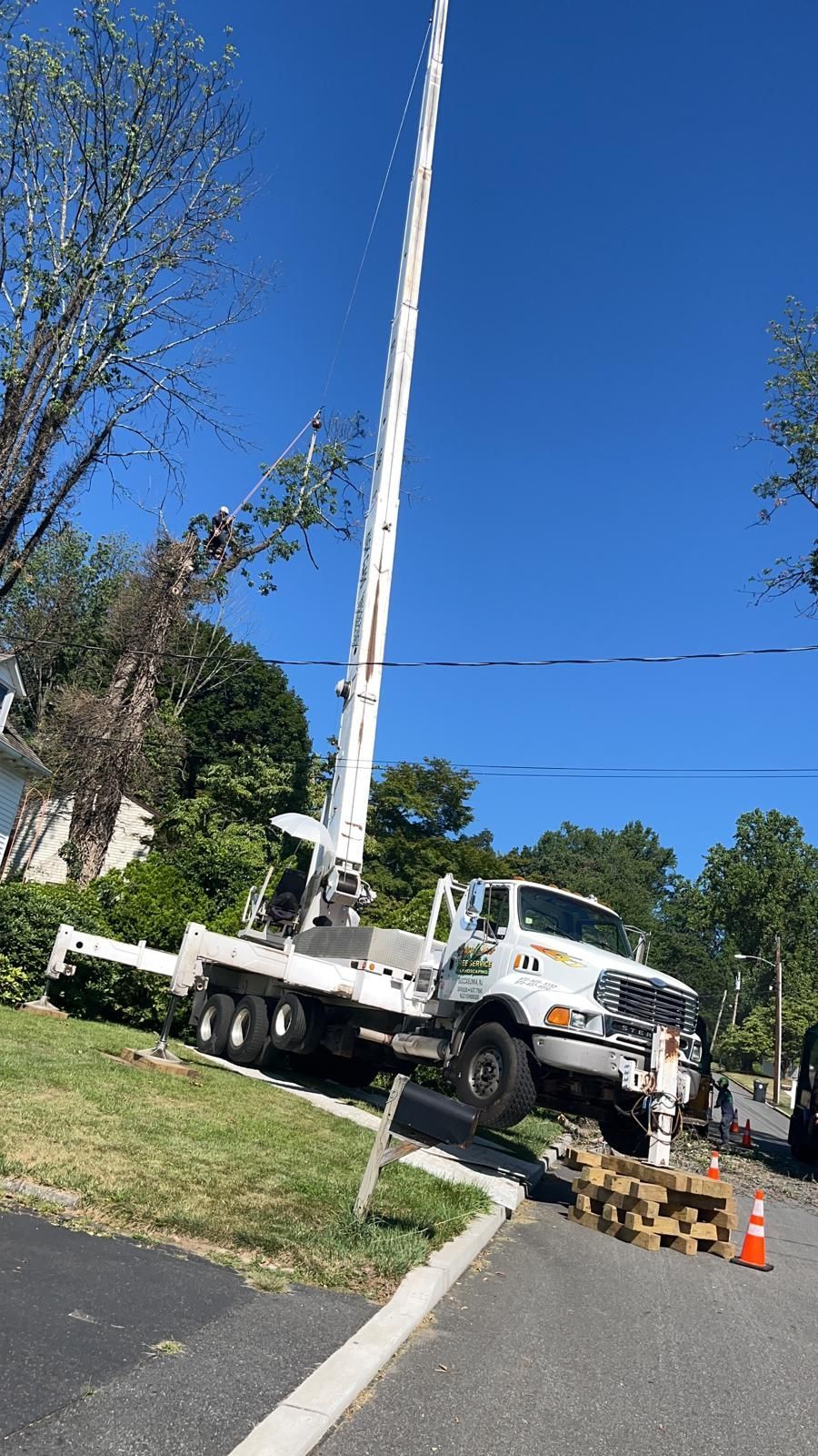A white truck is parked on the side of the road next to a tree.