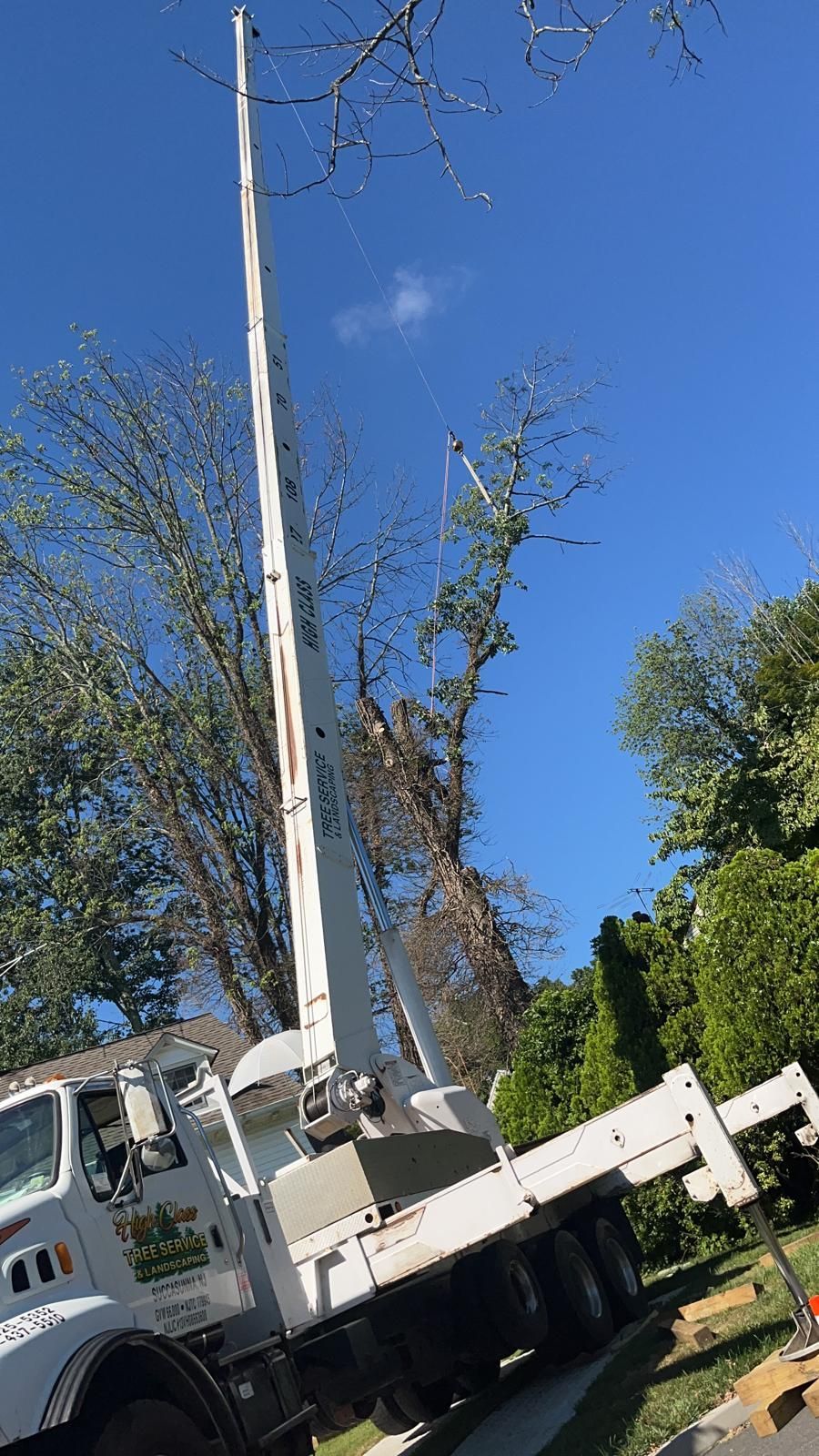 A white truck with a crane attached to it is parked in front of a tree.