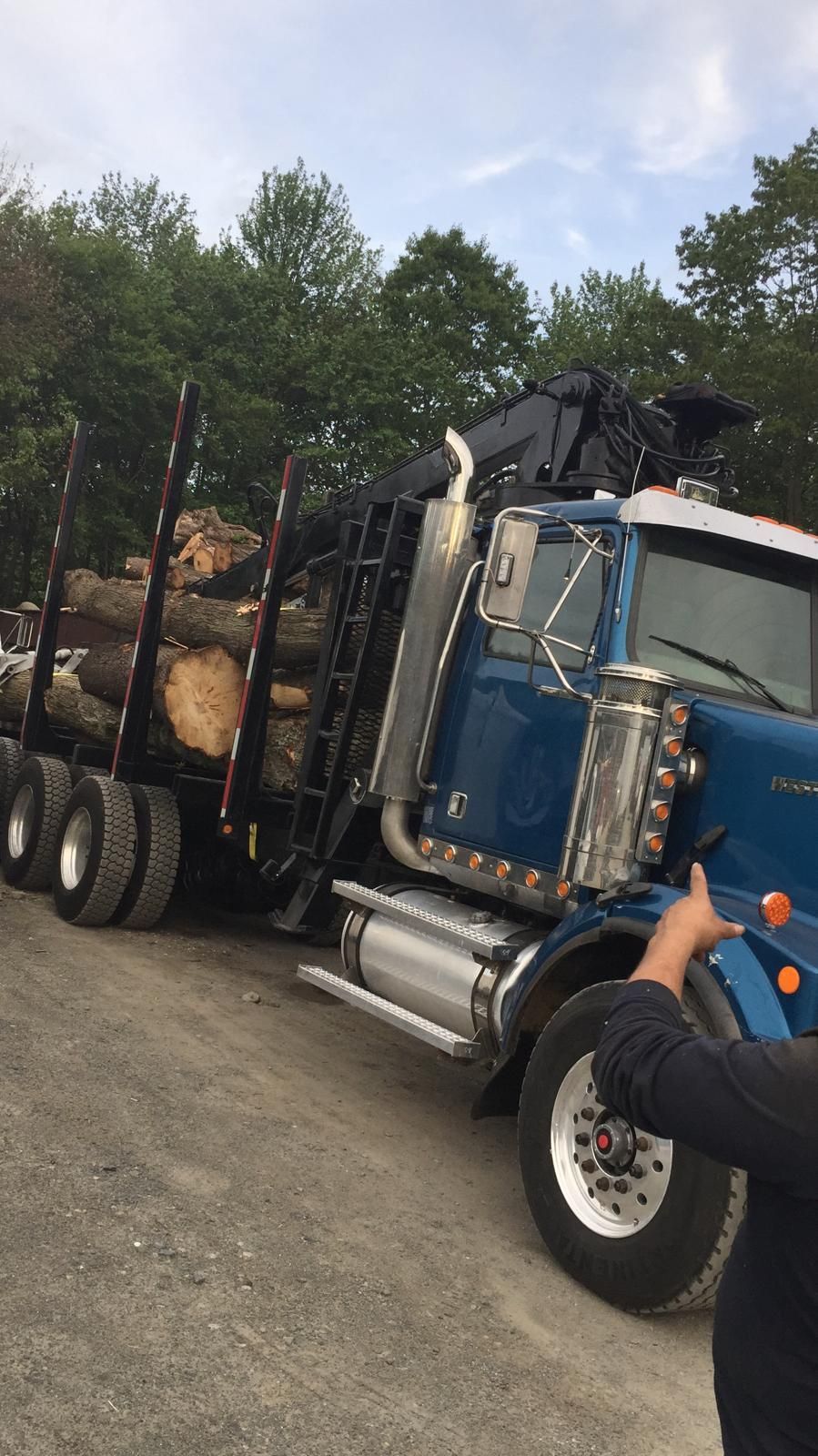 A man is standing next to a blue truck loaded with logs.