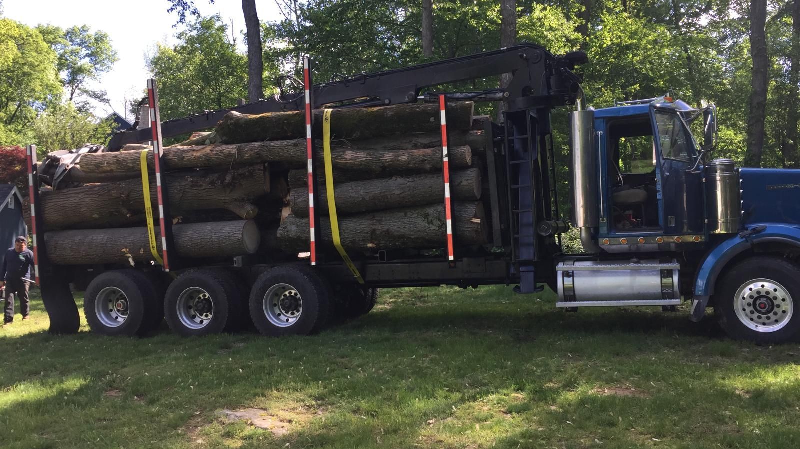 A blue truck is loaded with logs in a field.