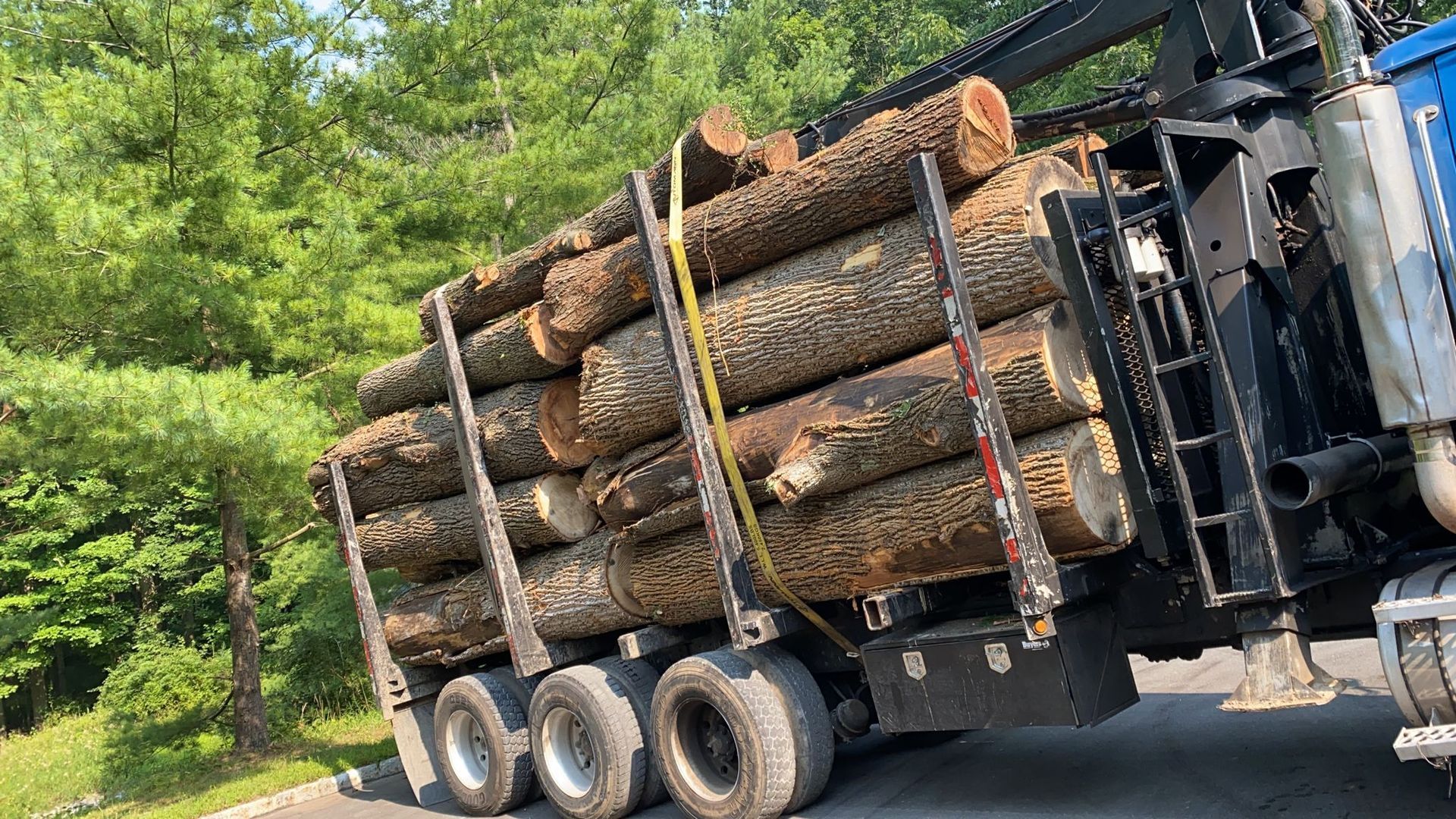 A truck carrying logs is driving down a road.