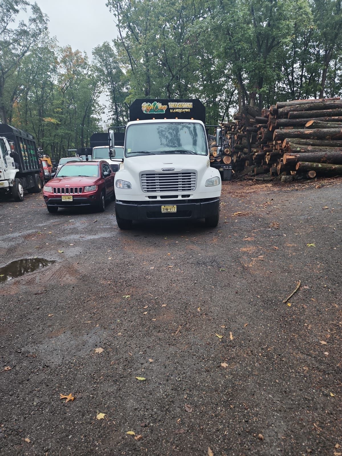 A white truck is parked in a parking lot next to a pile of logs.