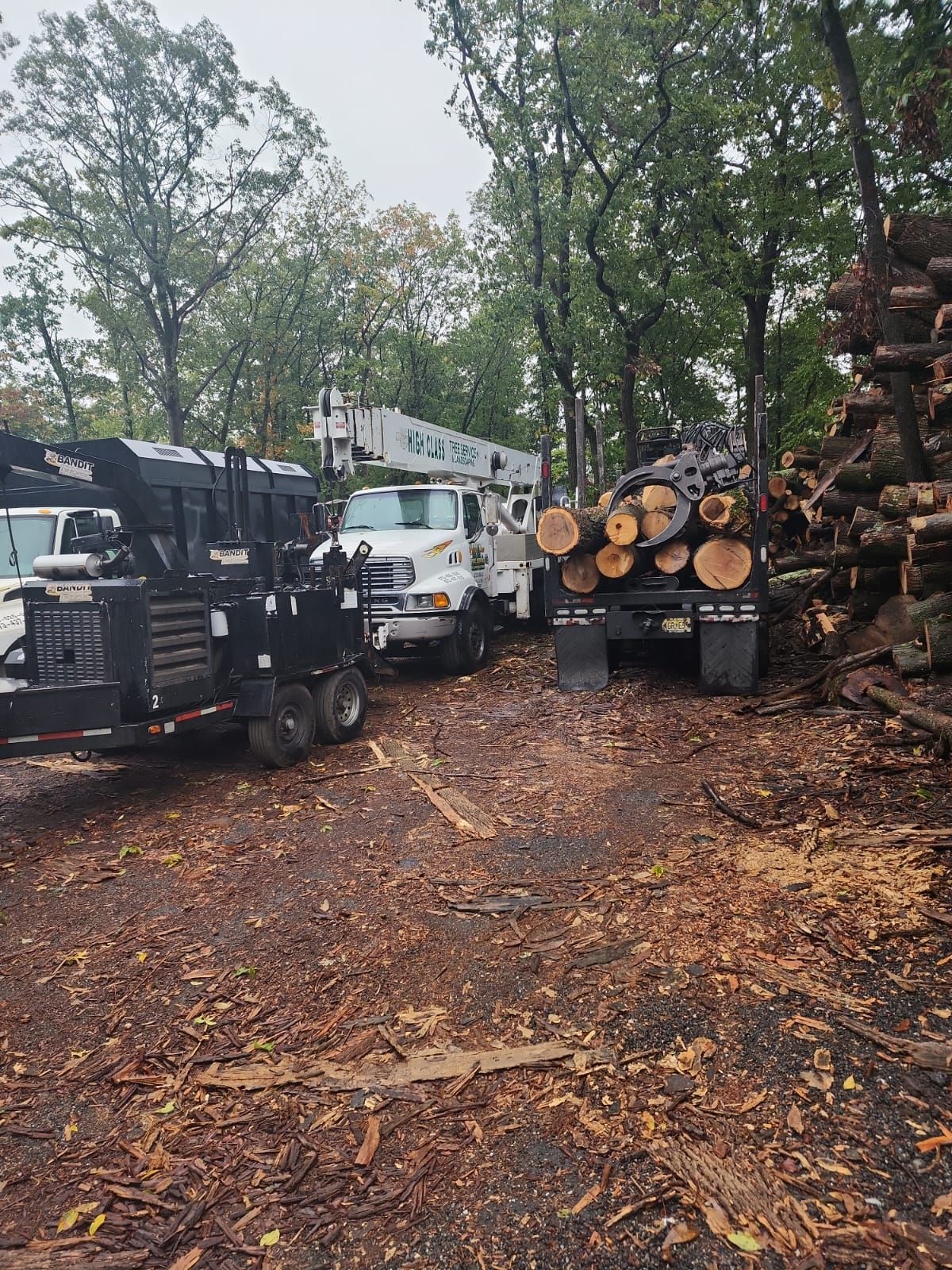 Two trucks are parked next to a pile of logs.