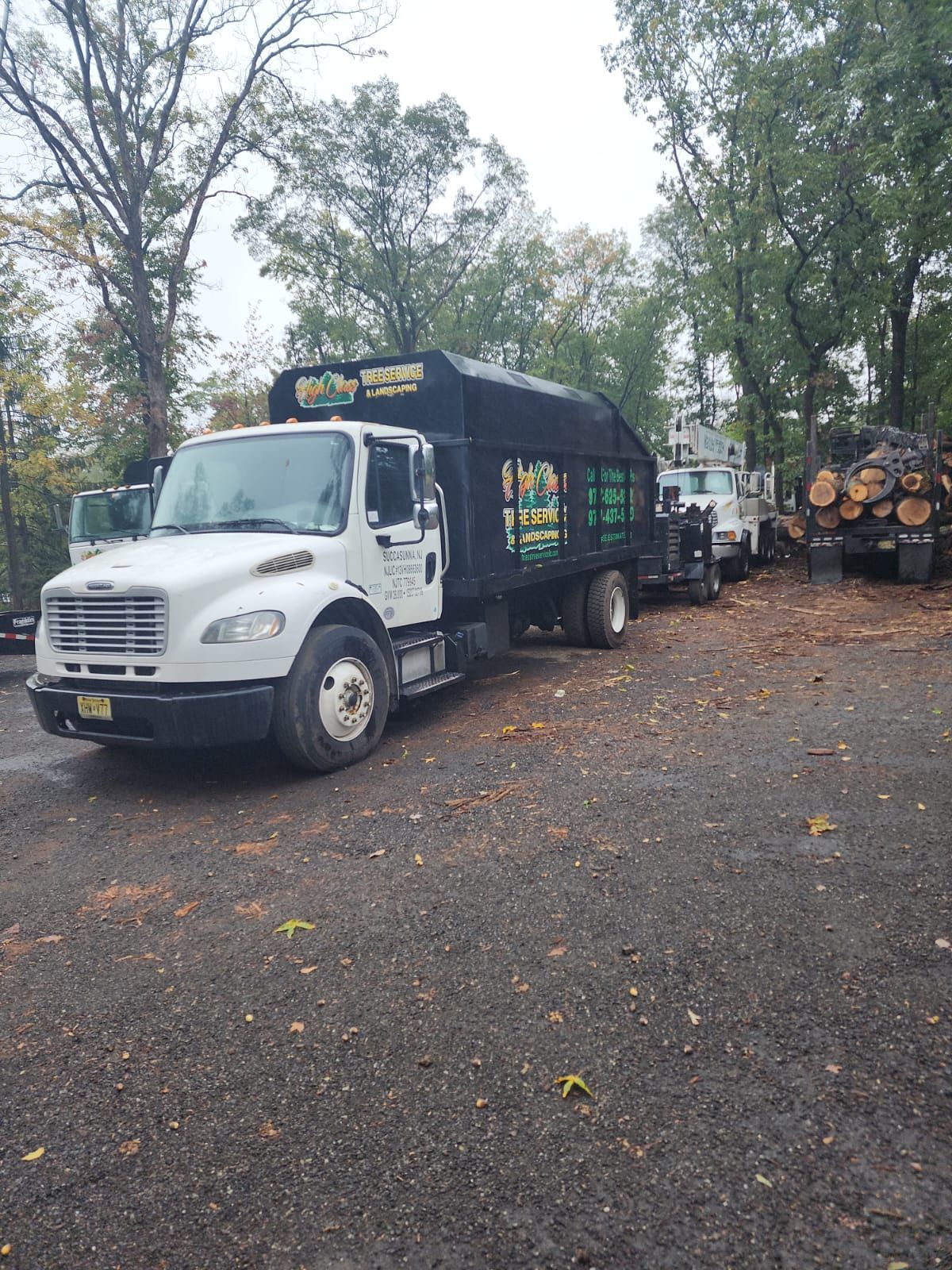 A white truck is parked in a gravel lot next to a pile of logs.