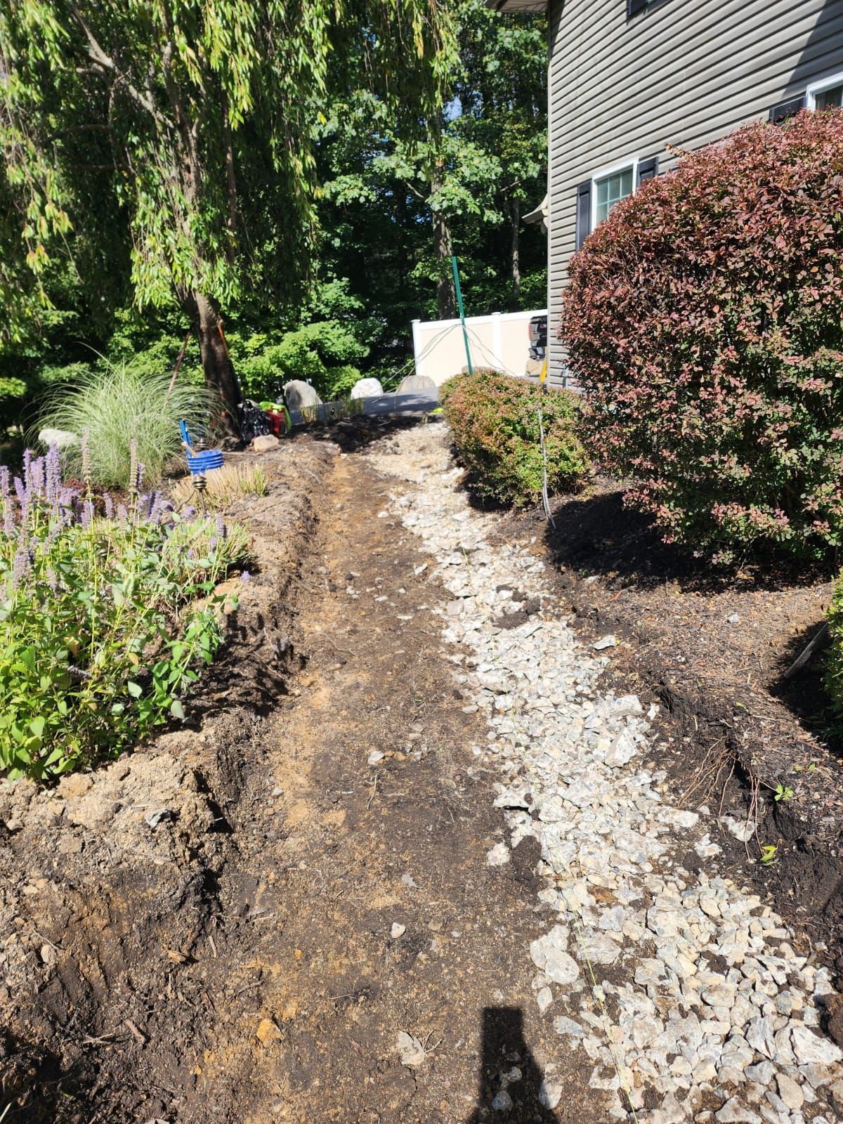 A dirt path leading to a house surrounded by trees and bushes.