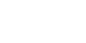 New Eagle Insurance logo