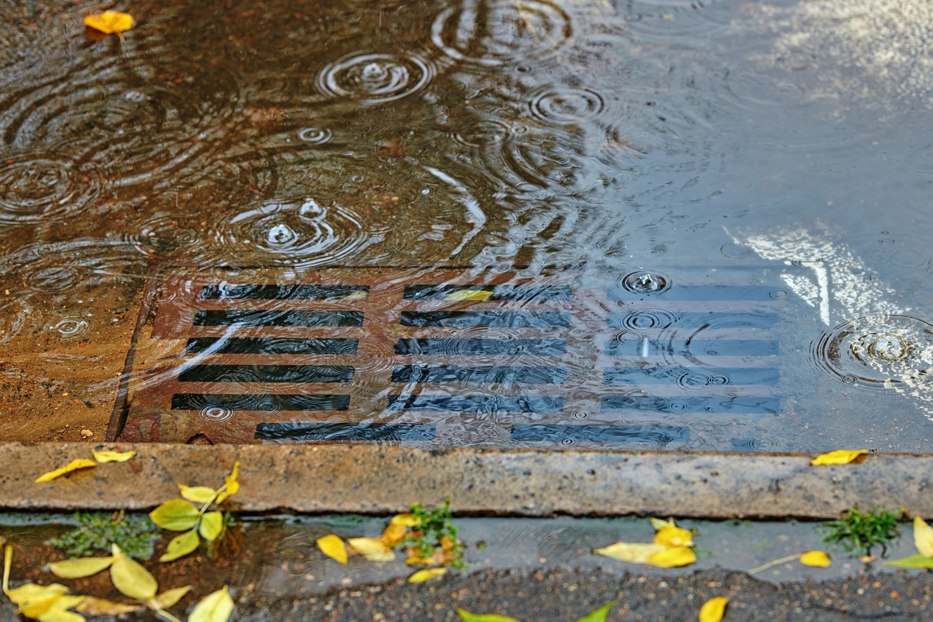 Rain falling on a street, creating ripples around a drain with leaves and curb visible.