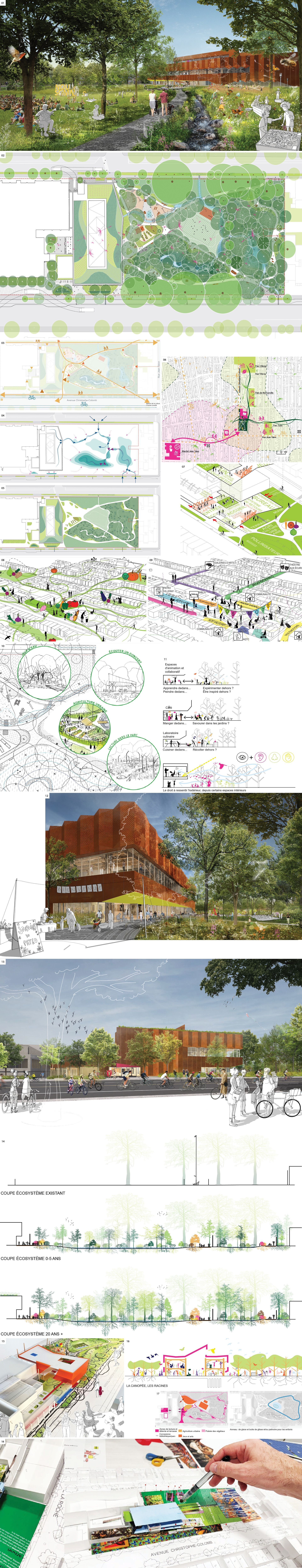 Caroline-Dowson Library Competition