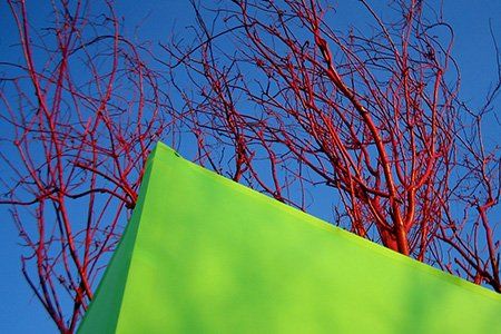 Jardins sans dessus dessous Festival Juste pour rire