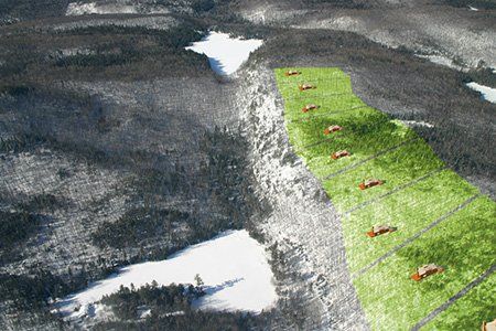 La forêt de Matawinie