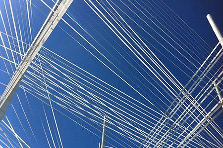 Le bon arbre au bon endroit - élastiques