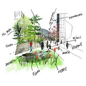 McGill College: Reinventing the Avenue Competition