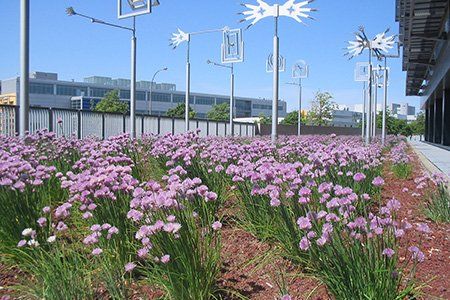 National Circus School ENC