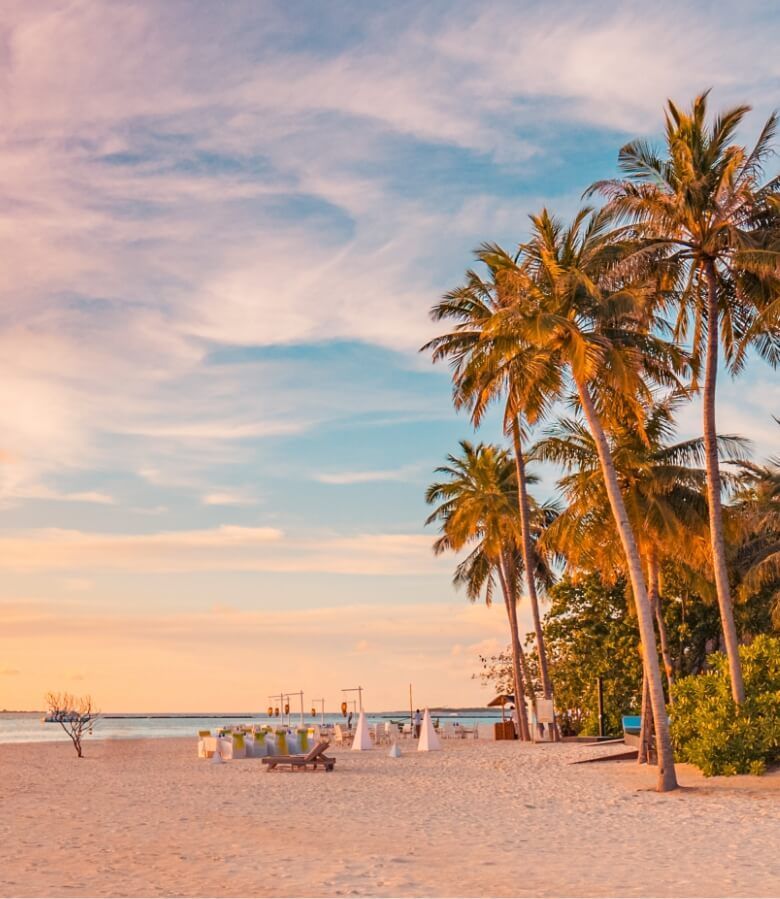 A beach with palm trees and umbrellas at sunset
