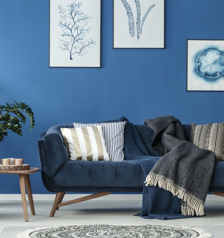 A living room with blue walls and a blue couch