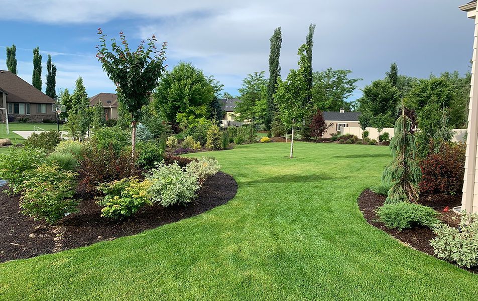 A lush green lawn with trees and bushes in front of a house.