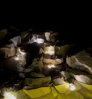 A group of penguins are swimming in a pool of water at night.