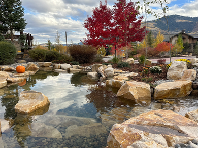 A pond surrounded by rocks and trees with a pumpkin in the middle.