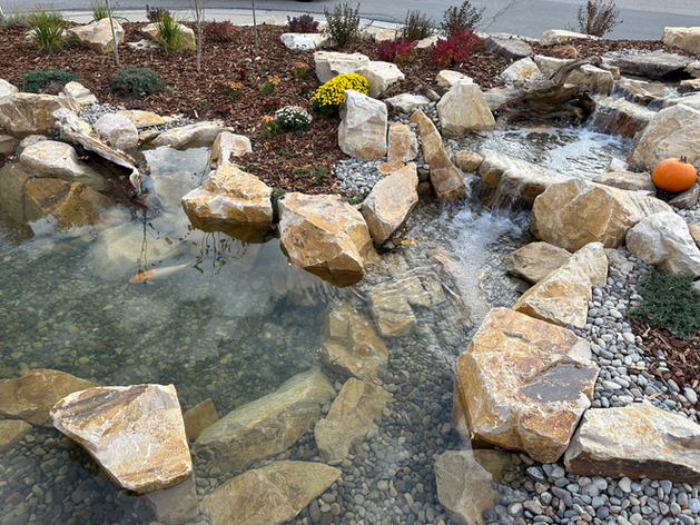 A pond surrounded by rocks and flowers with a pumpkin in the middle.